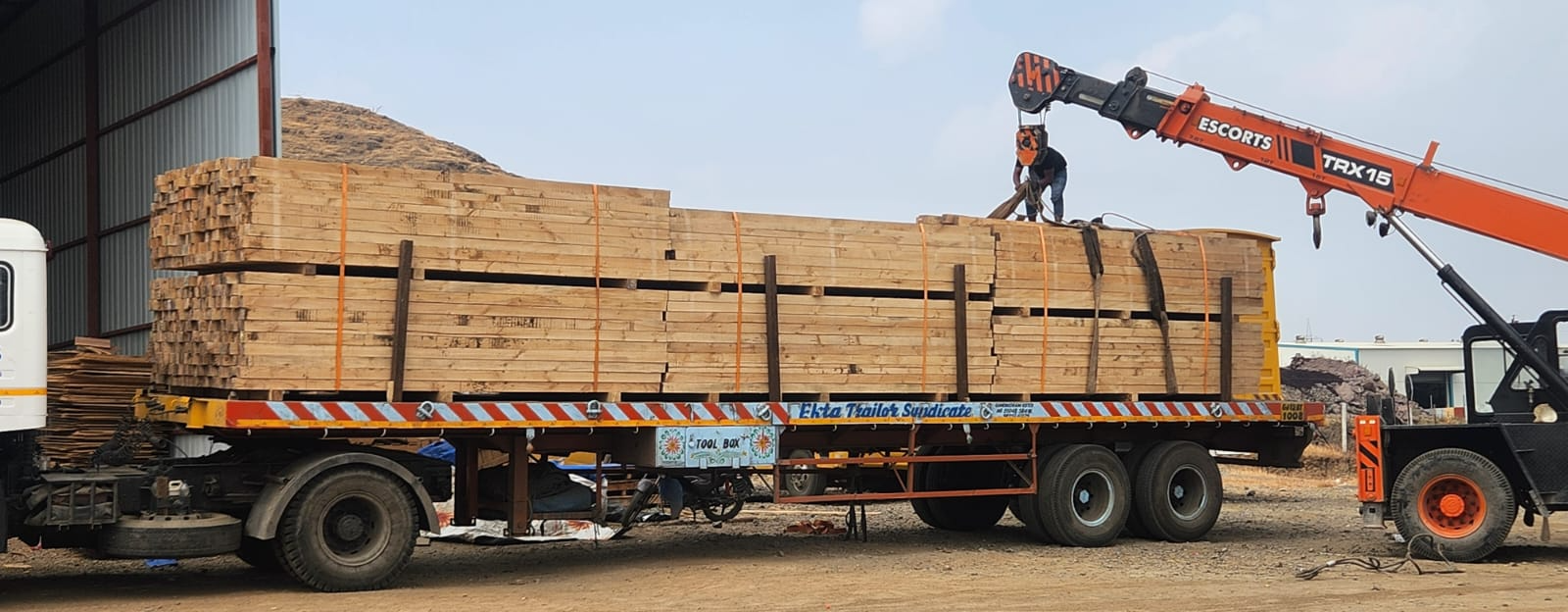 Pine Wood